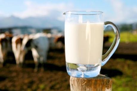 farm-fresh-milk