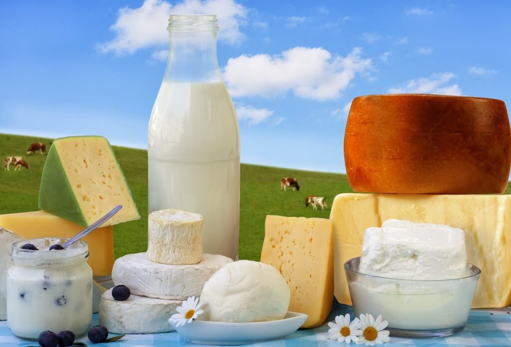 bigstock-Dairy-Products-7914156