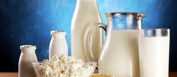 dairy products Sri lanka