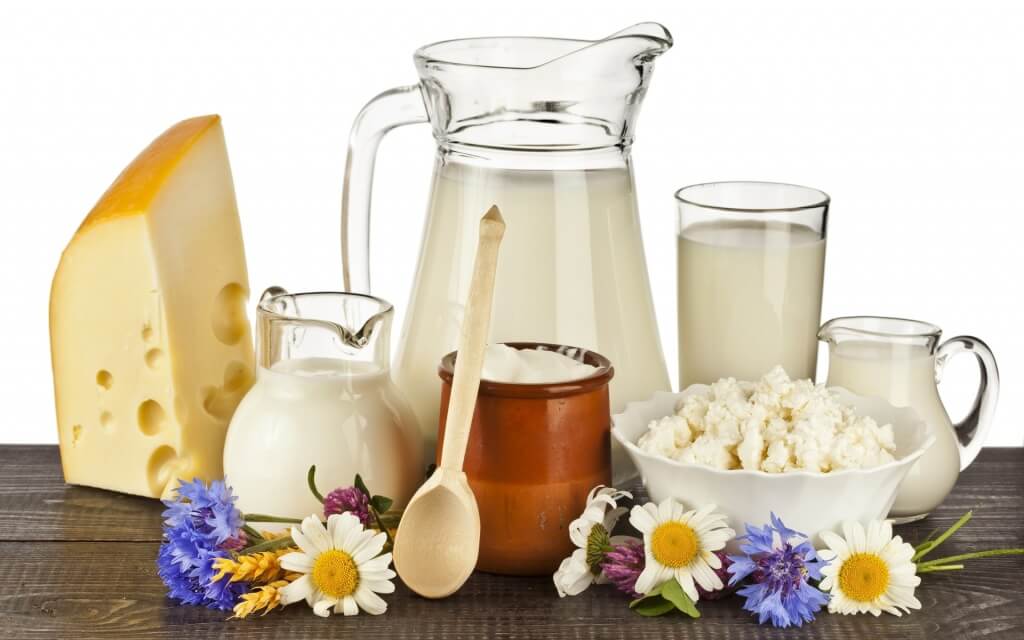 dairy-products-1